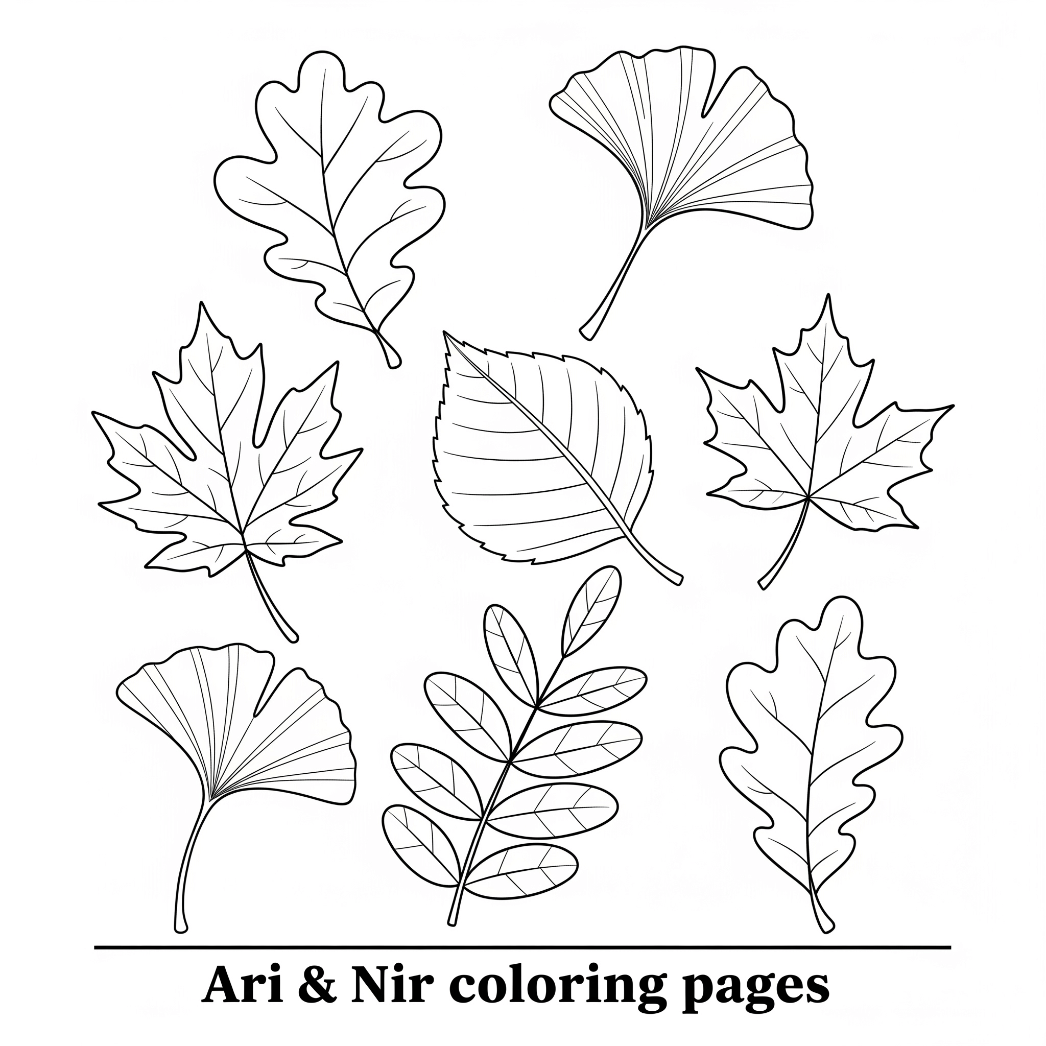 Autumn leaves